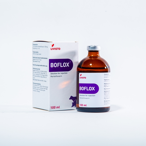 Boflox 100ml.